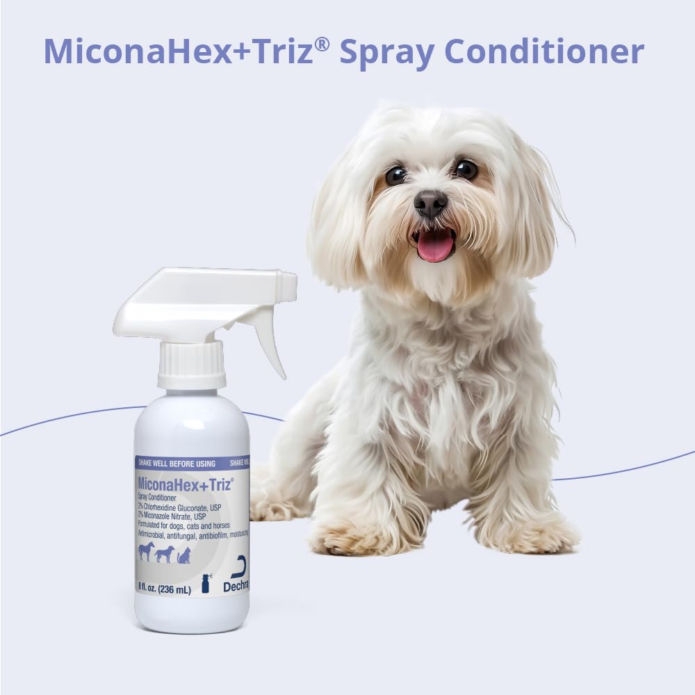 8 oz Spray Conditioner O632