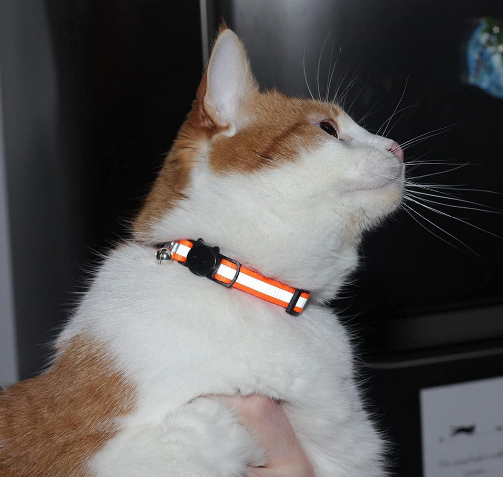 Reflective Nylon Cat Collar with Bell, Set of 6 Q793