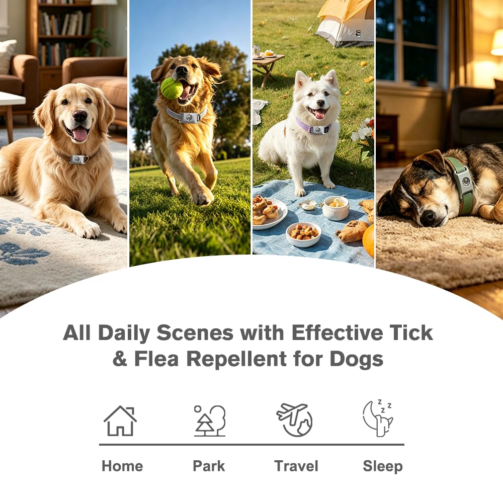 Flea and Tick Pendant for Dogs with 2 Silicone Buckles 4 Refills S2910