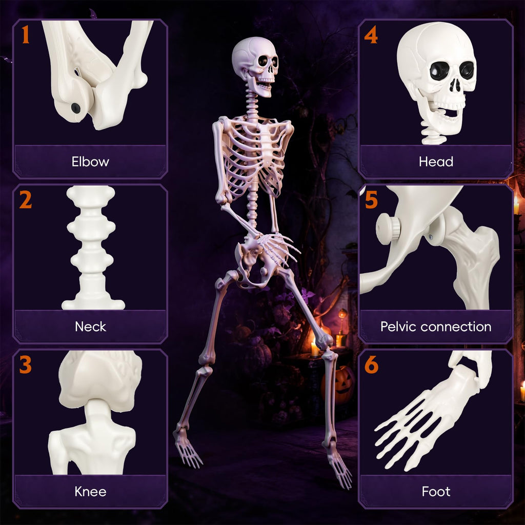 5.4FT Posable Life Size Skeleton (2PCS) L73007