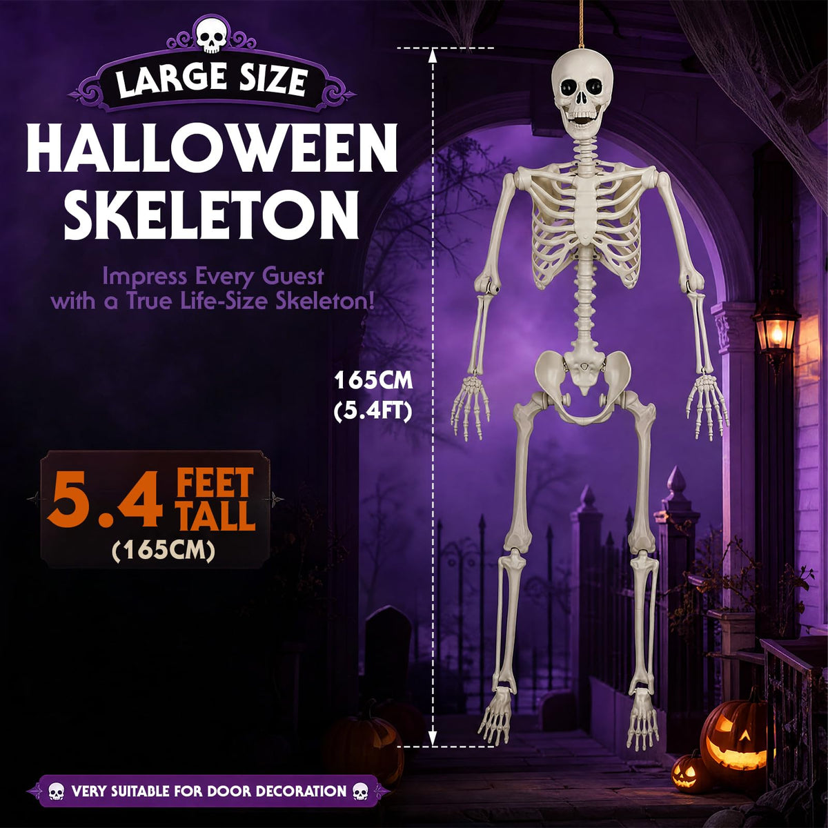 5.4FT Posable Life Size Skeleton (2PCS) L73007