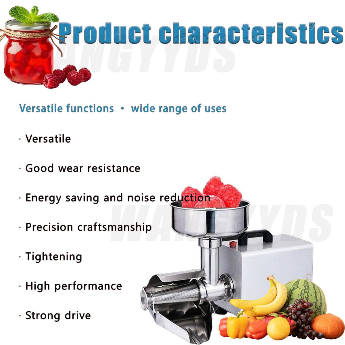 450W Electric Tomato Strainer Stainless Steel Y777