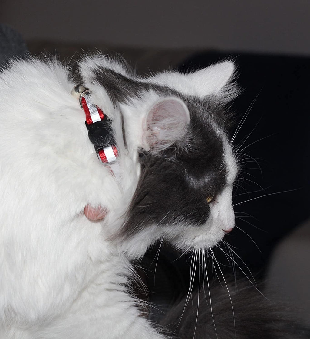 Reflective Nylon Cat Collar with Bell, Set of 6 Q793