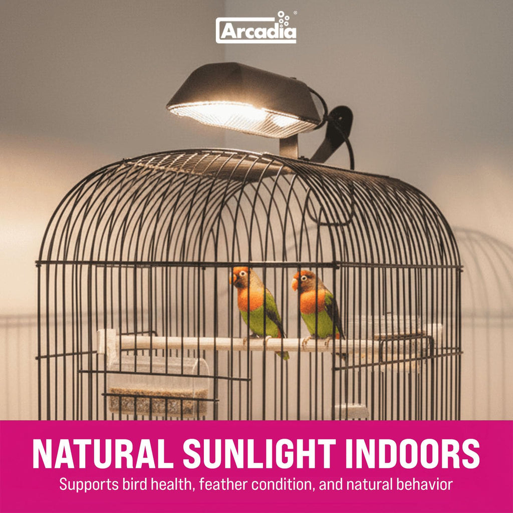 Compact Bird Lighting Kit 20 Watts 2.4% UVB Full Spectrum Light Fixture P581608