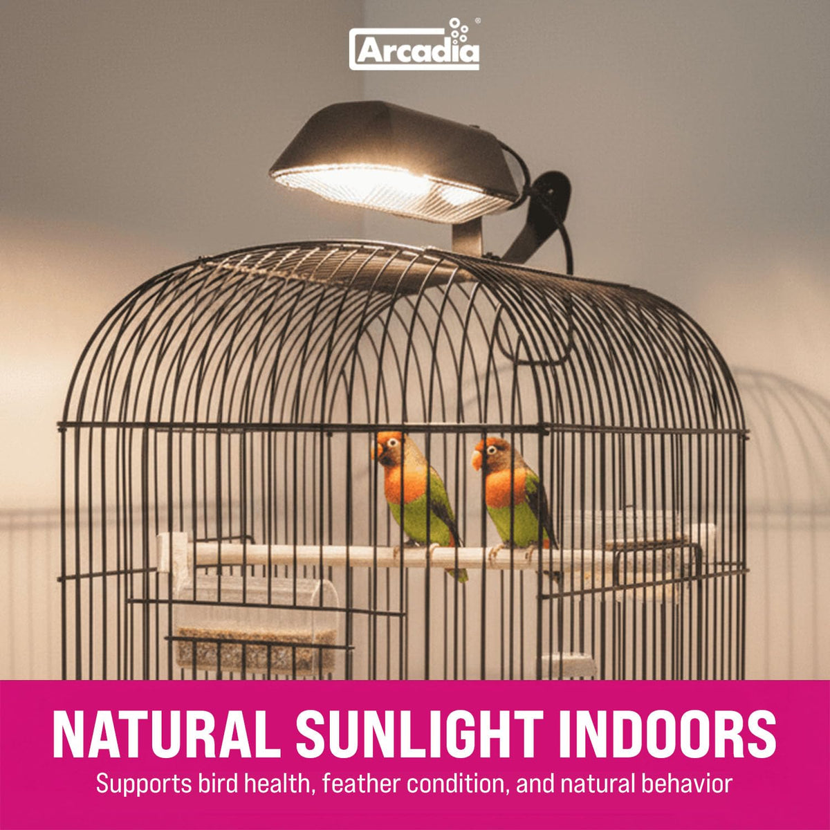 Compact Bird Lighting Kit 20 Watts 2.4% UVB Full Spectrum Light Fixture P581608