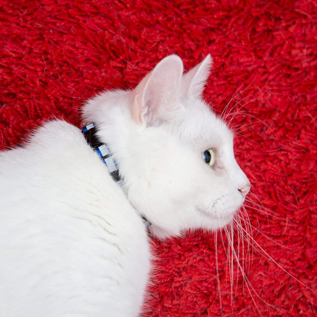 Reflective Nylon Cat Collar with Bell, Set of 6 Q793