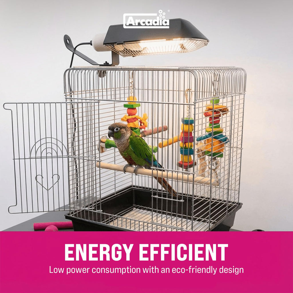 Compact Bird Lighting Kit 20 Watts 2.4% UVB Full Spectrum Light Fixture P581608
