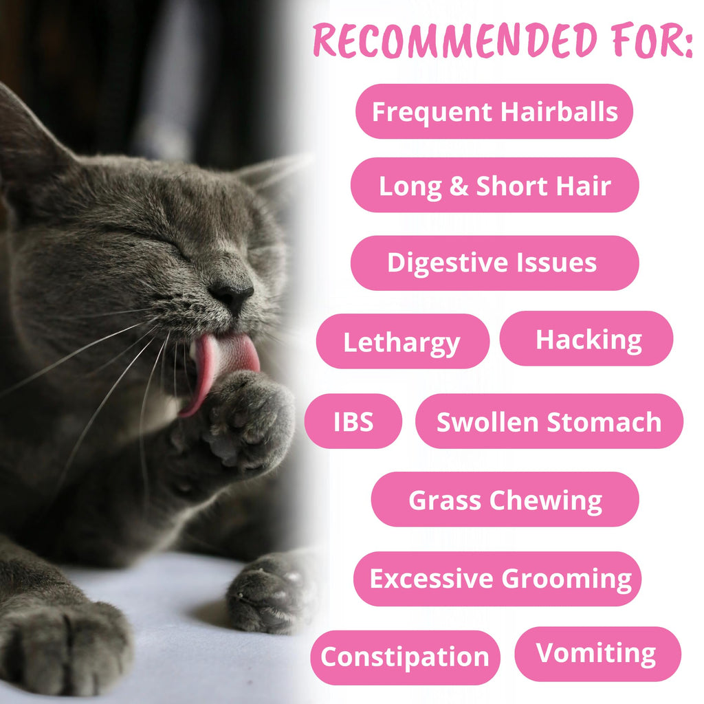 Star Shaped Soft Chews for Cats G221