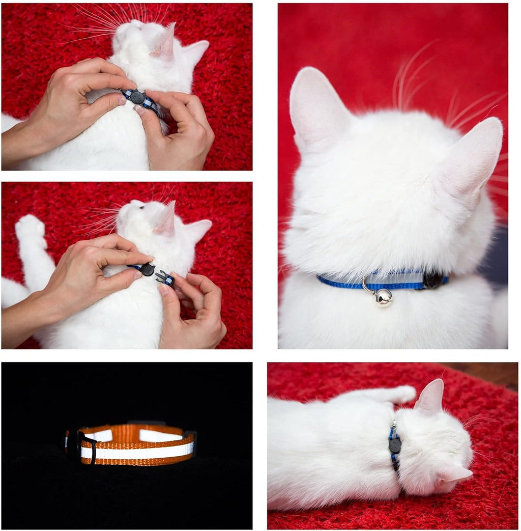 Reflective Nylon Cat Collar with Bell, Set of 6 Q793