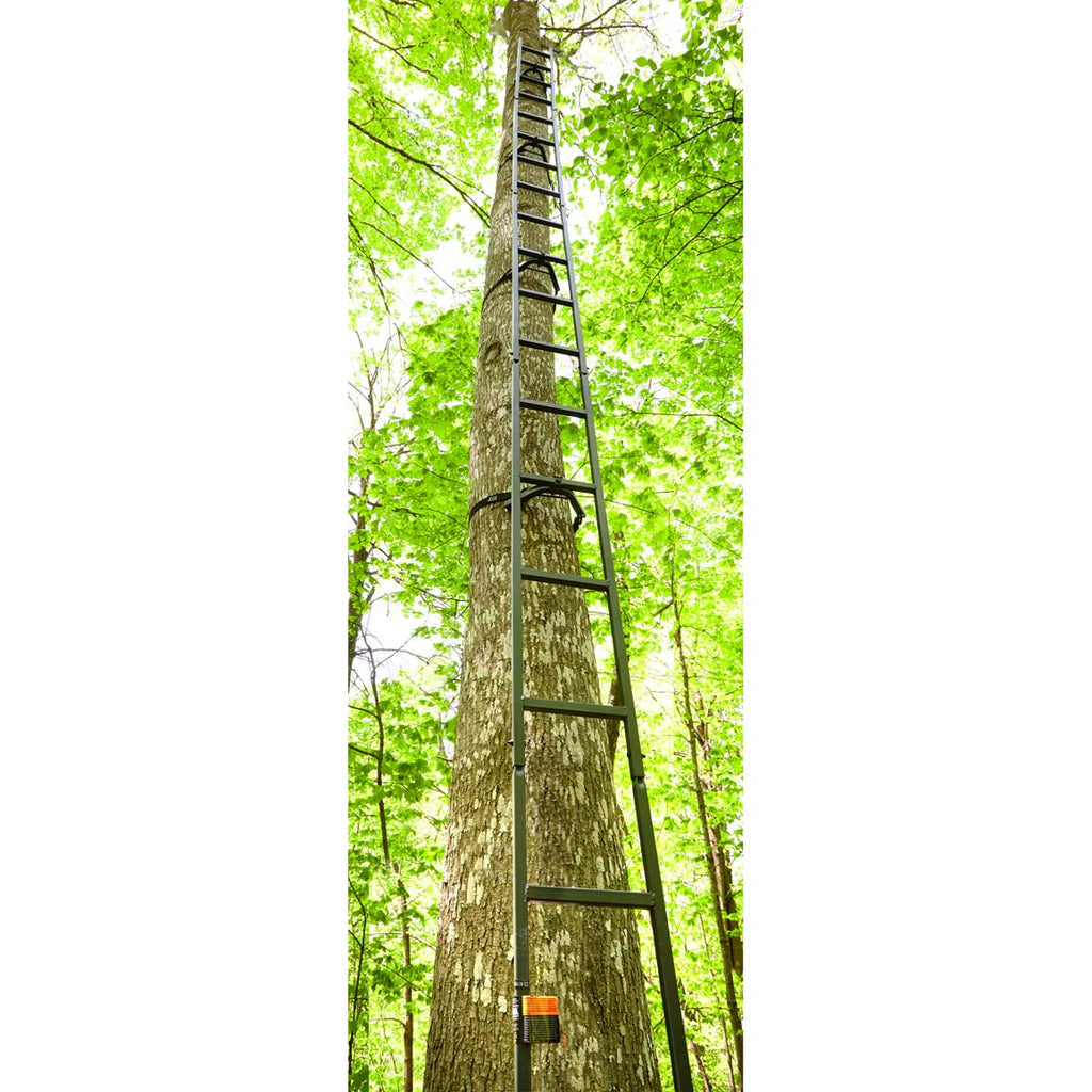 Climbing Ladder D533690