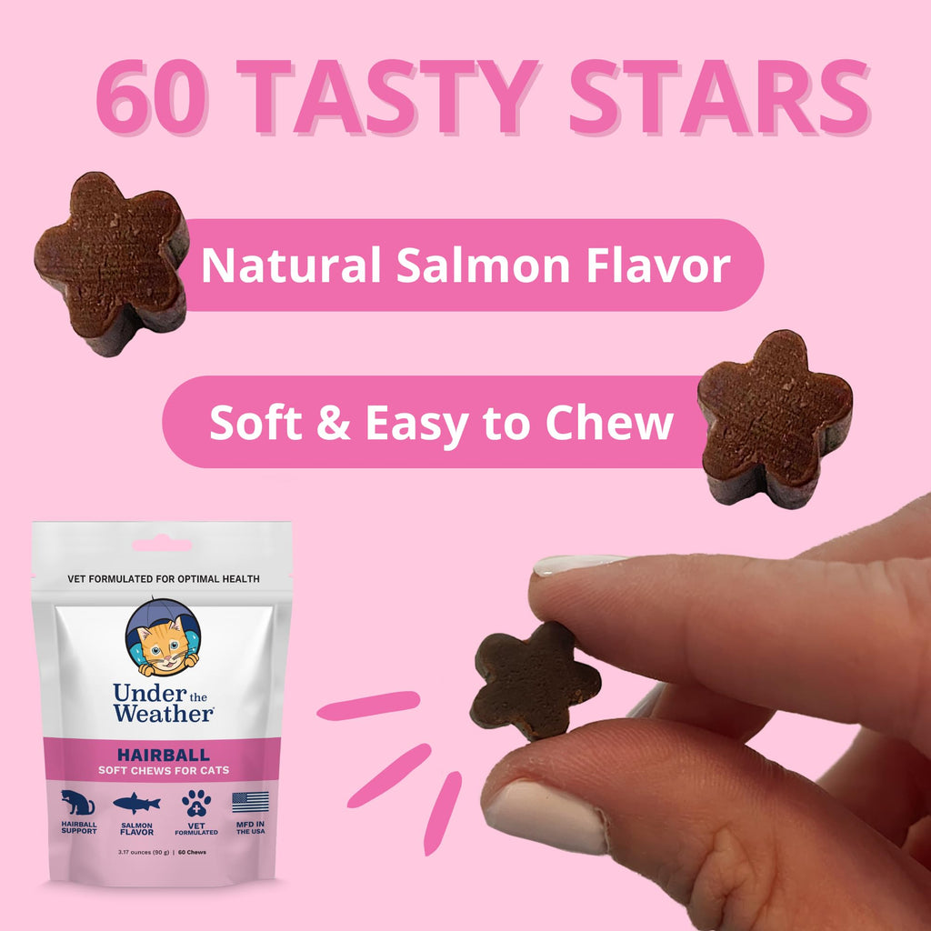 Star Shaped Soft Chews for Cats G221