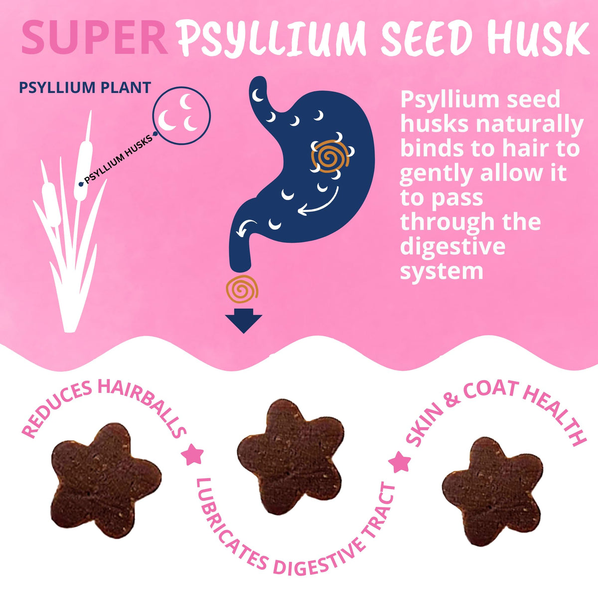 Star Shaped Soft Chews for Cats G221