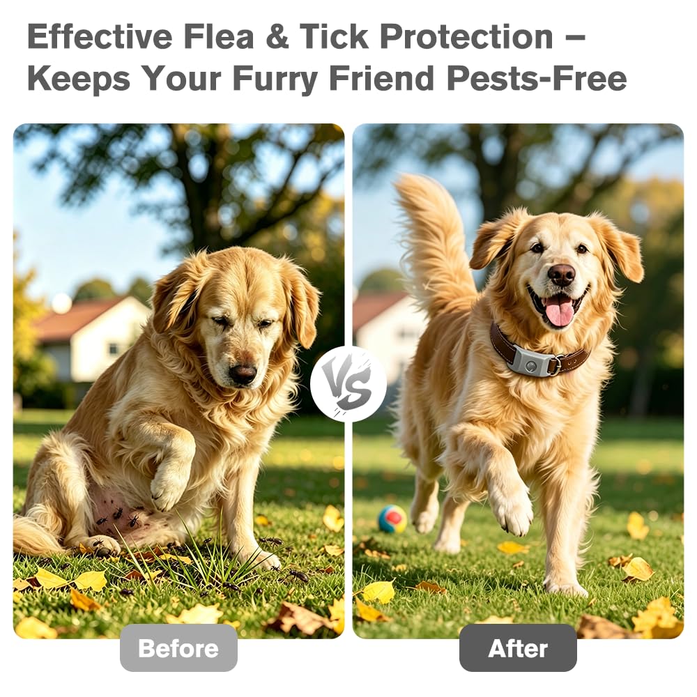 Flea and Tick Pendant for Dogs with 2 Silicone Buckles 4 Refills S2910