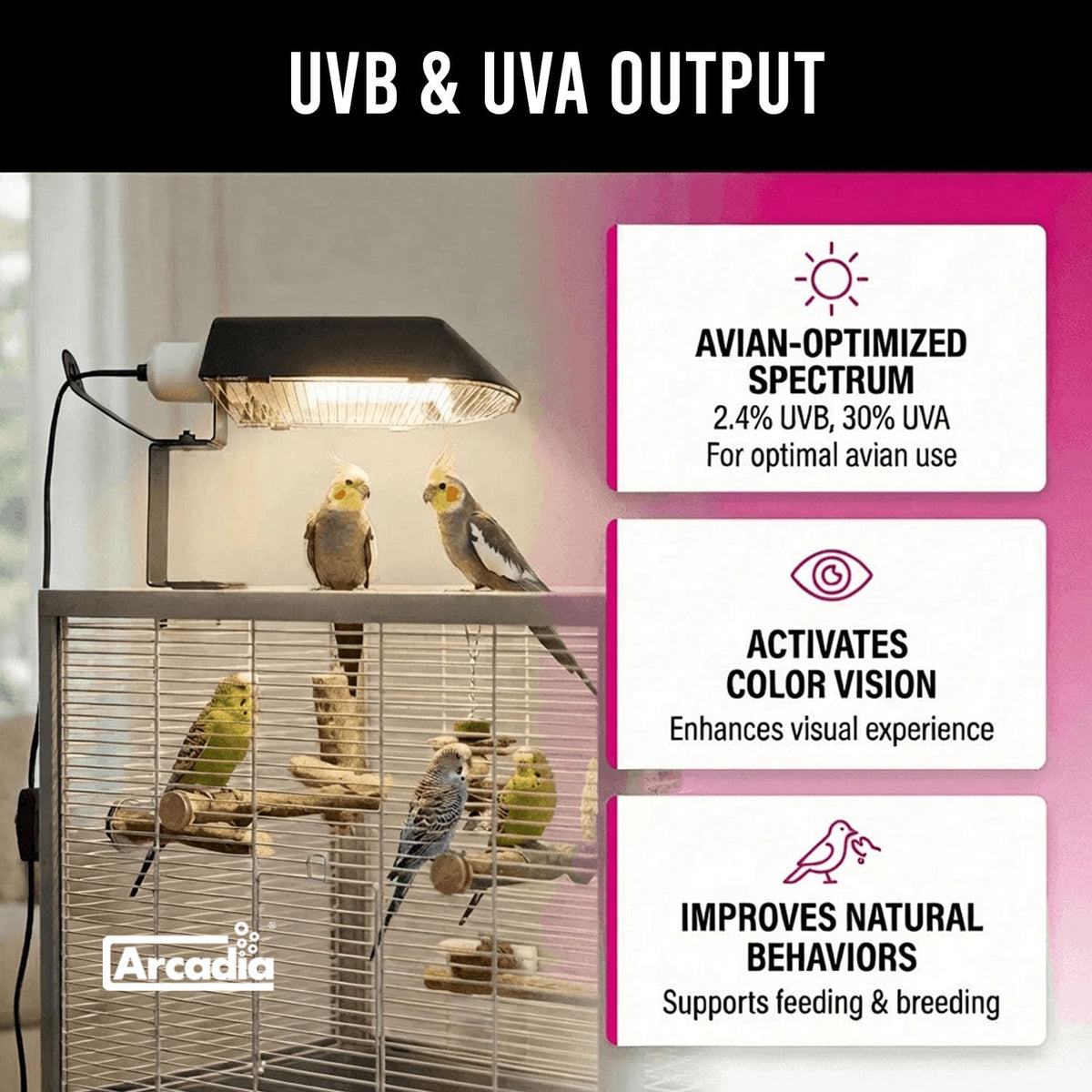 Compact Bird Lighting Kit 20 Watts 2.4% UVB Full Spectrum Light Fixture P581608