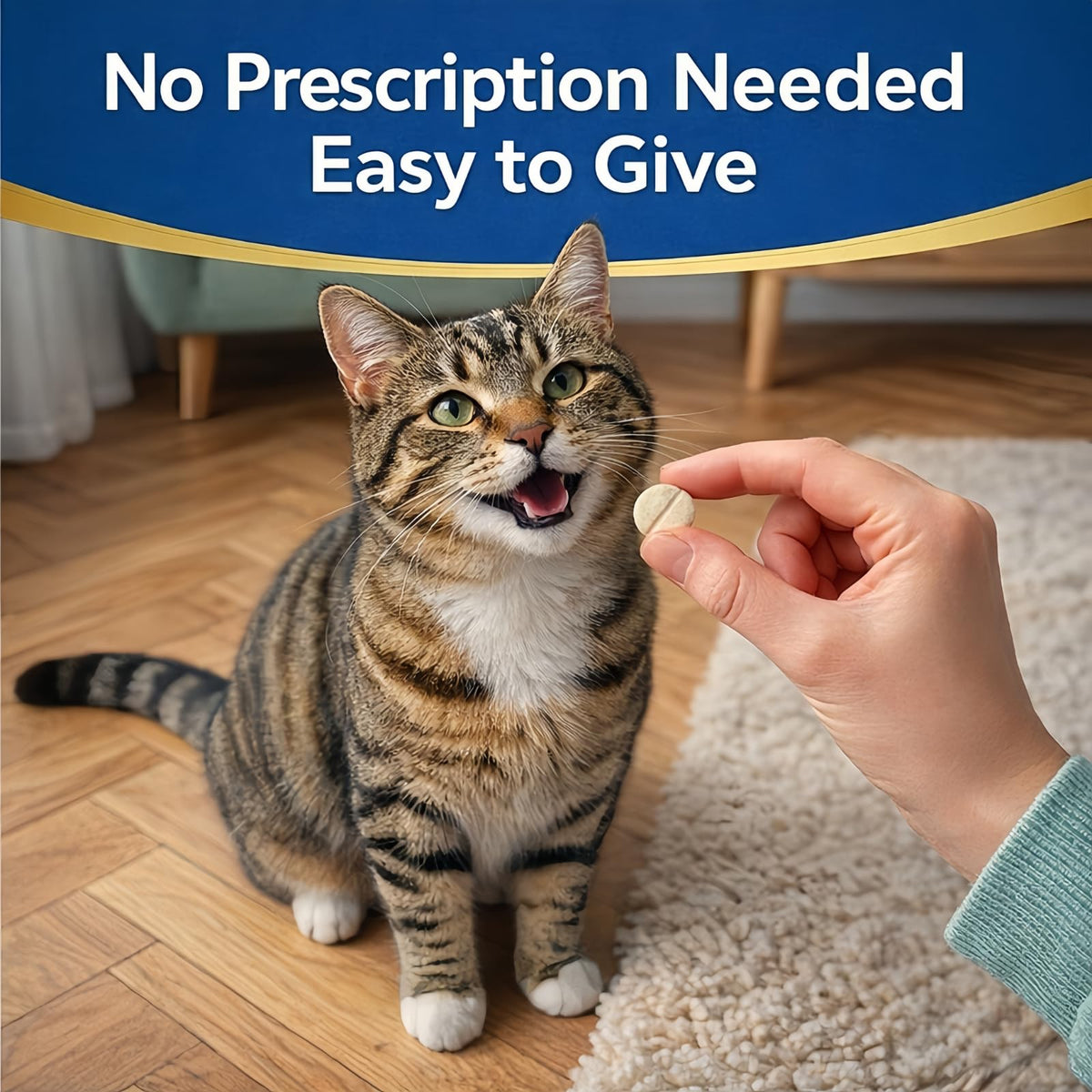 Broad-Spectrum Dewormer Tablets K12023