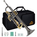 Bb Trumpet Set with Carrying Case, Gloves, 7C Mouthpiece, Tuning Rod, Black Nickel X21929