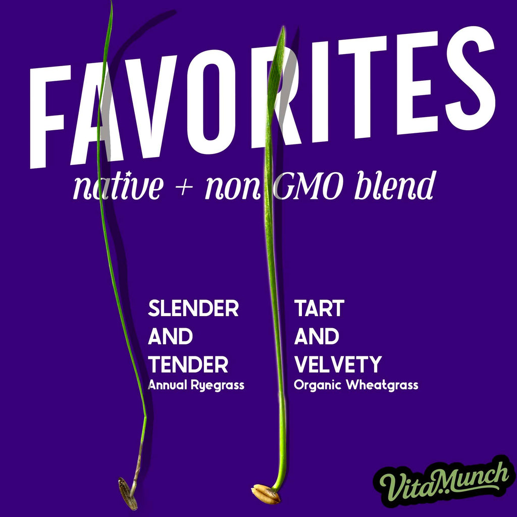 Cat Grass Seed Non-GMO Blend T9986