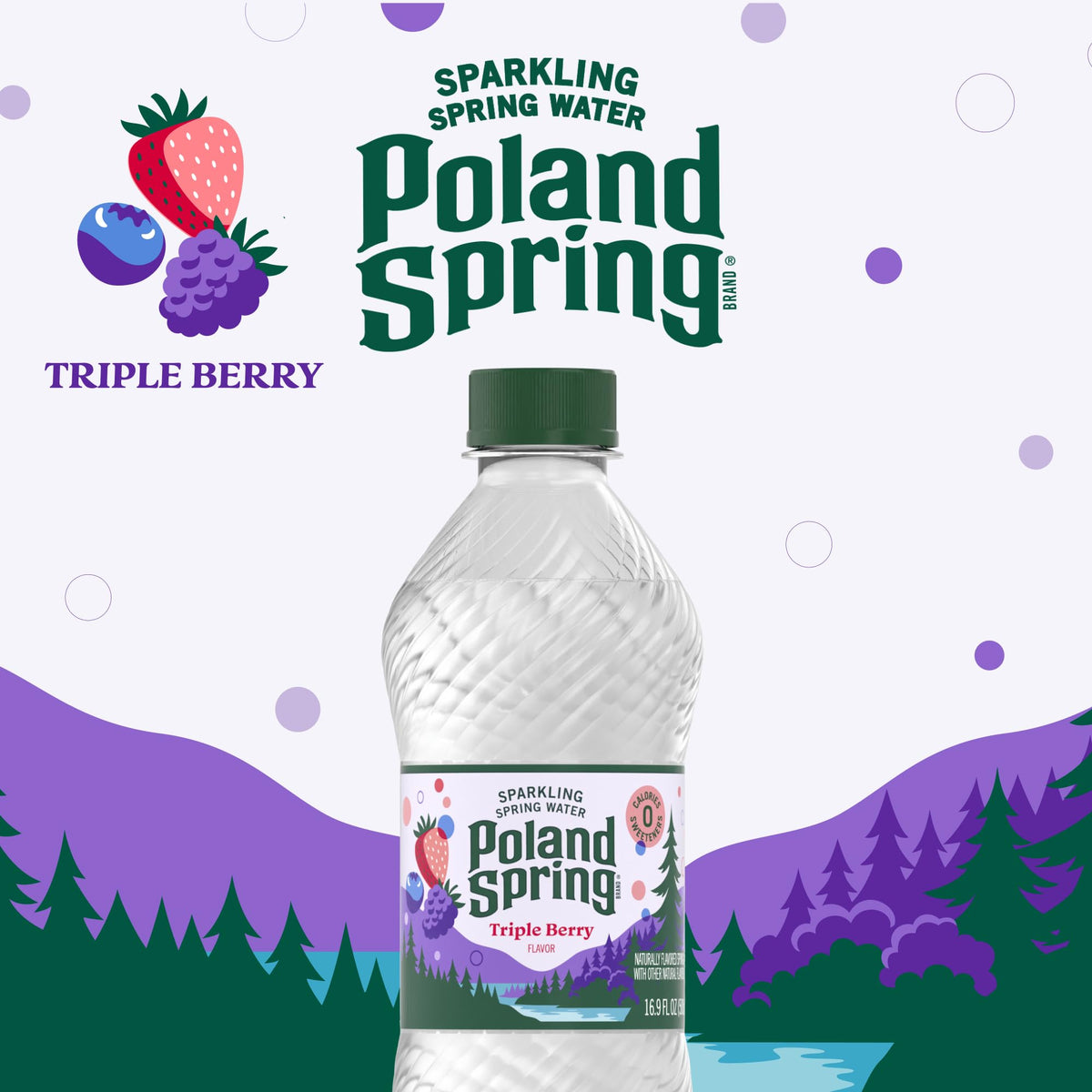 Sparkling Bottled Water 33.8 Fl Oz W2533