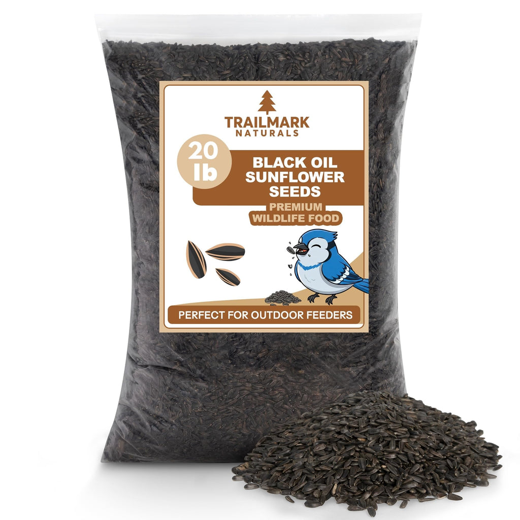 Black Oil Sunflower Seeds for Birds L22740