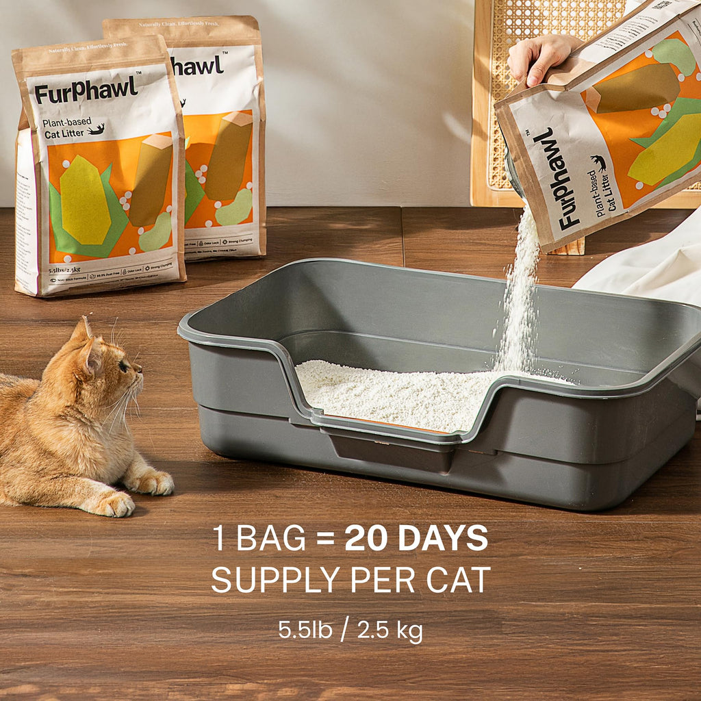 Cassava Plant-Based Clumping Cat Litter 11 lb 2 Bags B673