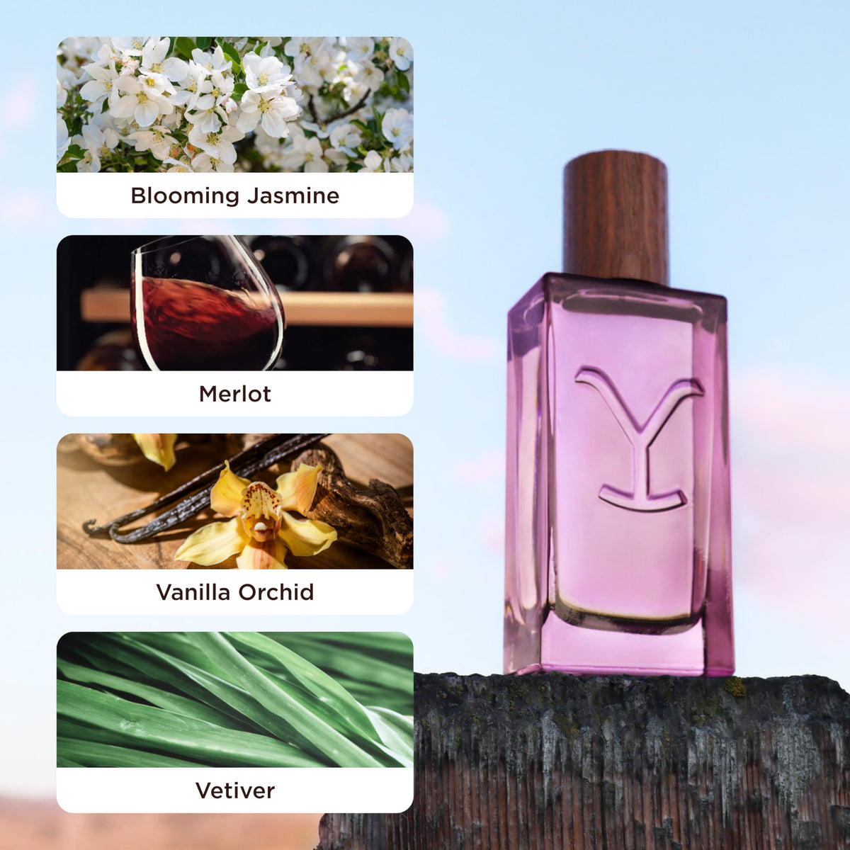 Women’s Perfume 1.7 fl oz B6830