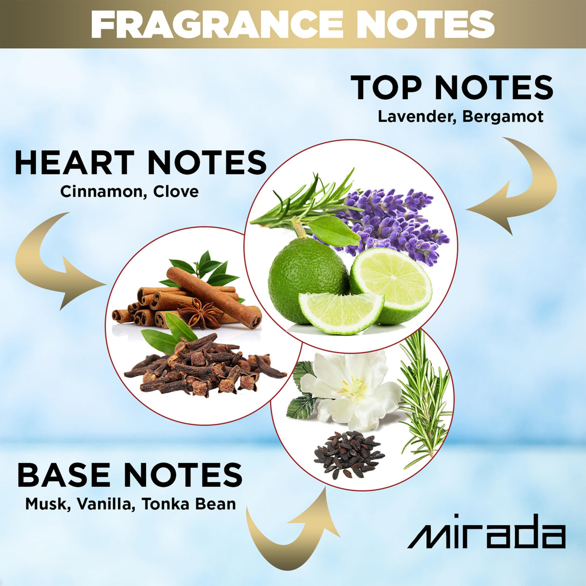 White Musk Eau de Parfum Spray 3.4 FL. Oz D567447