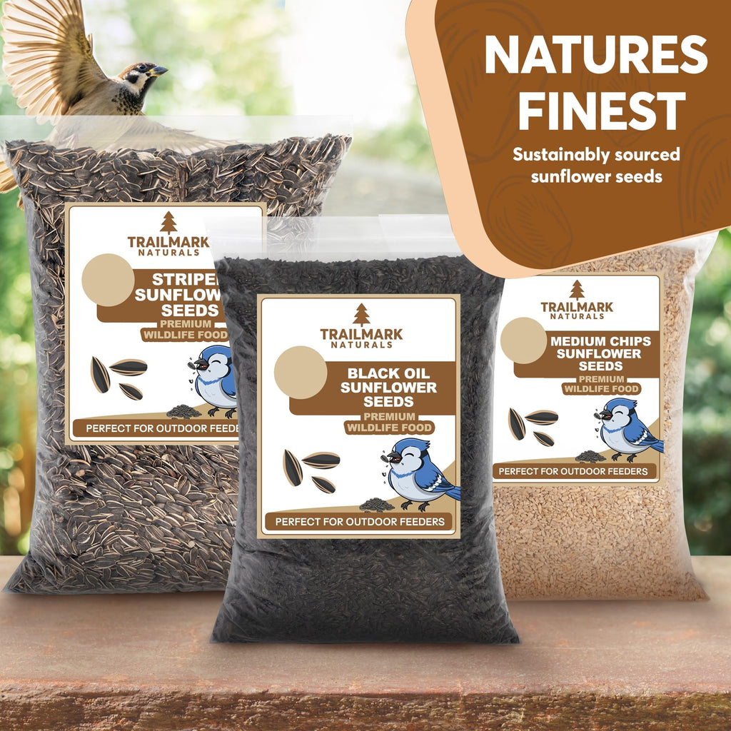 Black Oil Sunflower Seeds for Birds L22740