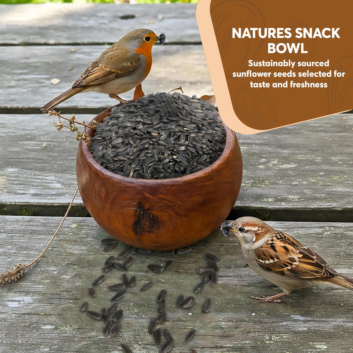 Black Oil Sunflower Seeds for Birds L22740
