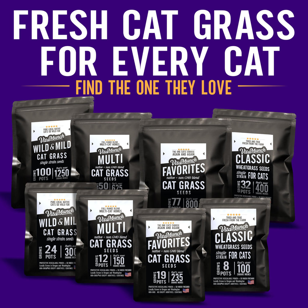 Cat Grass Seed Non-GMO Blend T9986