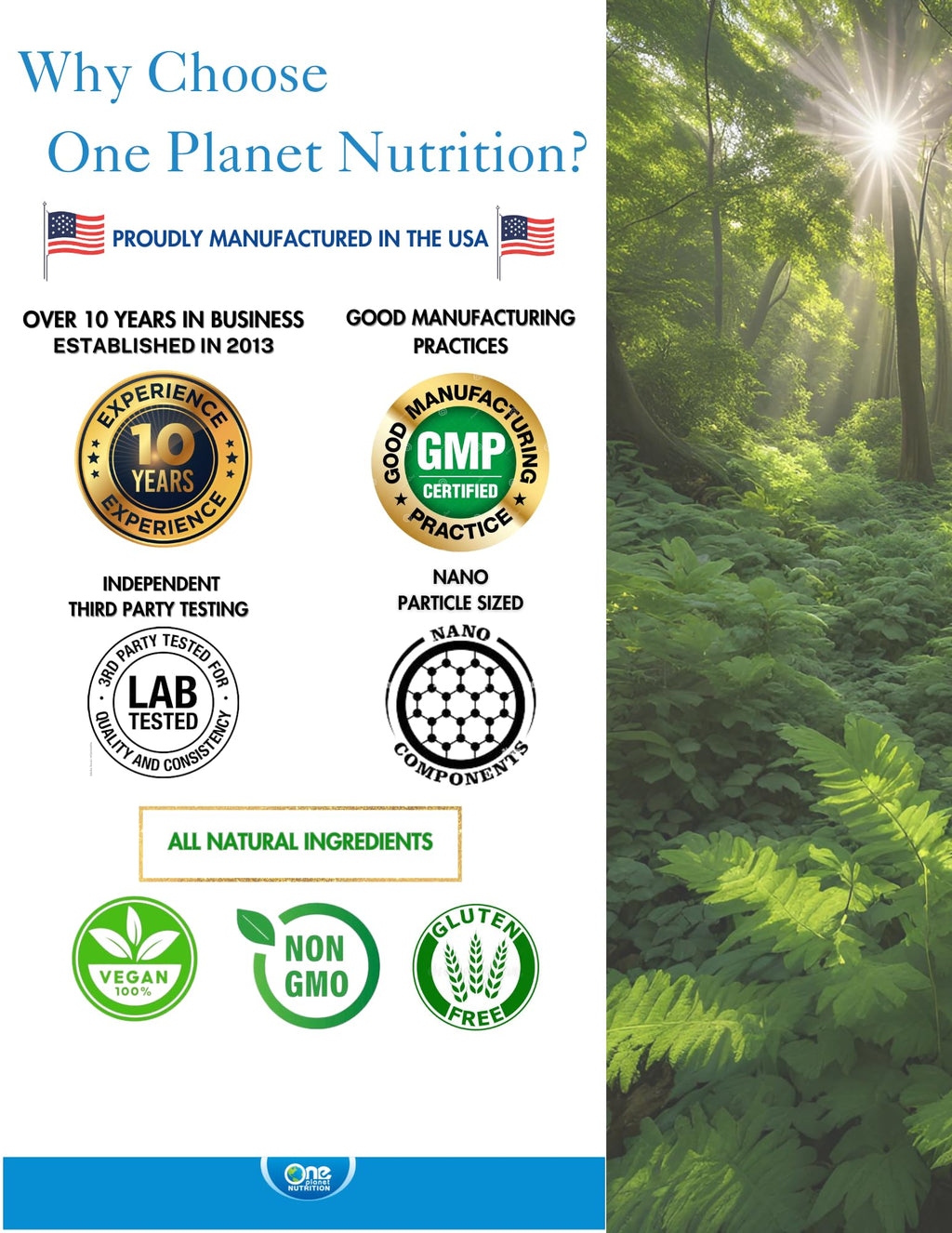 Moringa Capsules 500 mg 120 Count F123196