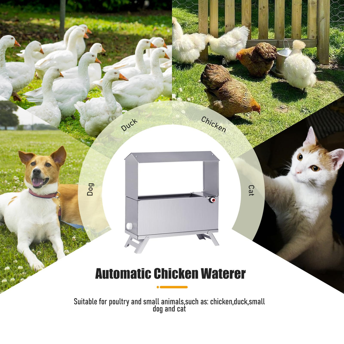 Stainless Steel Automatic Chicken Waterer J777