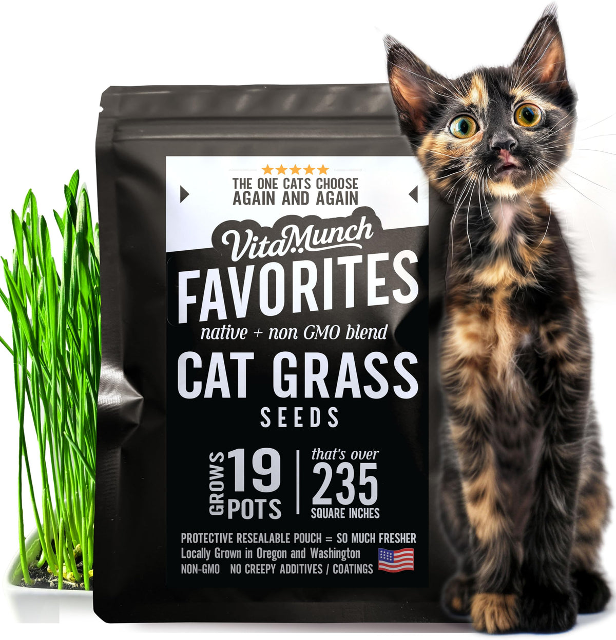 Cat Grass Seed Non-GMO Blend T9986