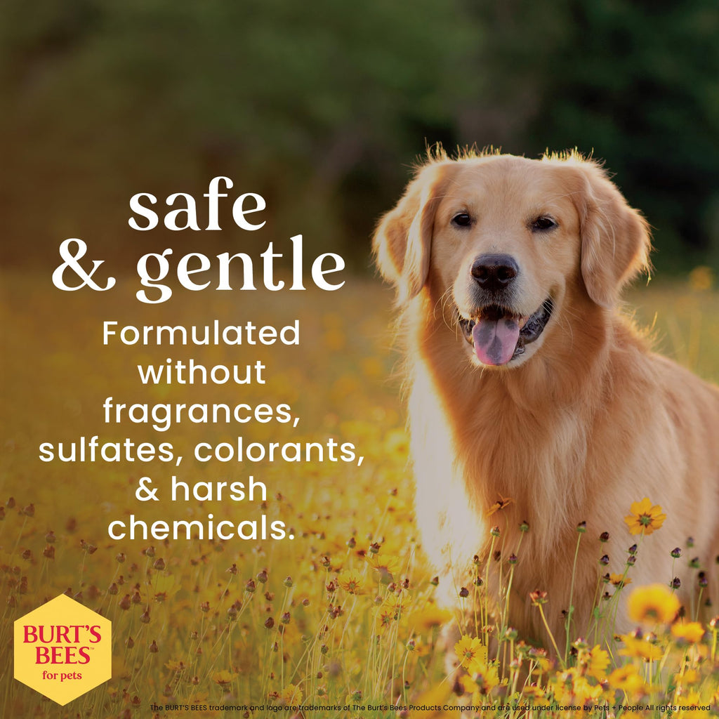Fragrance-Free Oatmeal Dog Conditioner 10 Fl Oz F537