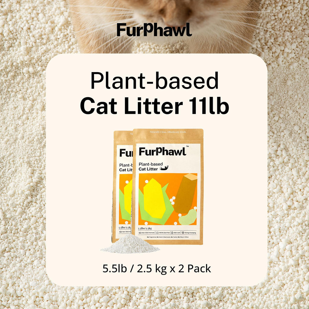 Cassava Plant-Based Clumping Cat Litter 11 lb 2 Bags B673
