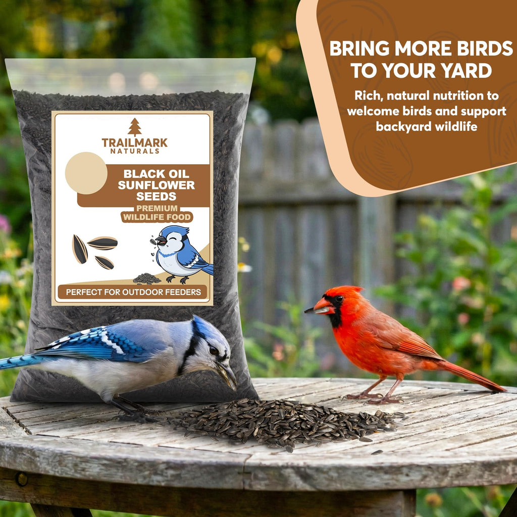 Black Oil Sunflower Seeds for Birds L22740