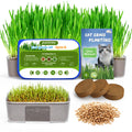Cat Grass Growing Kit with Wheat Seeds, BPA-Free Planter & Soil, 3 Pack R61191