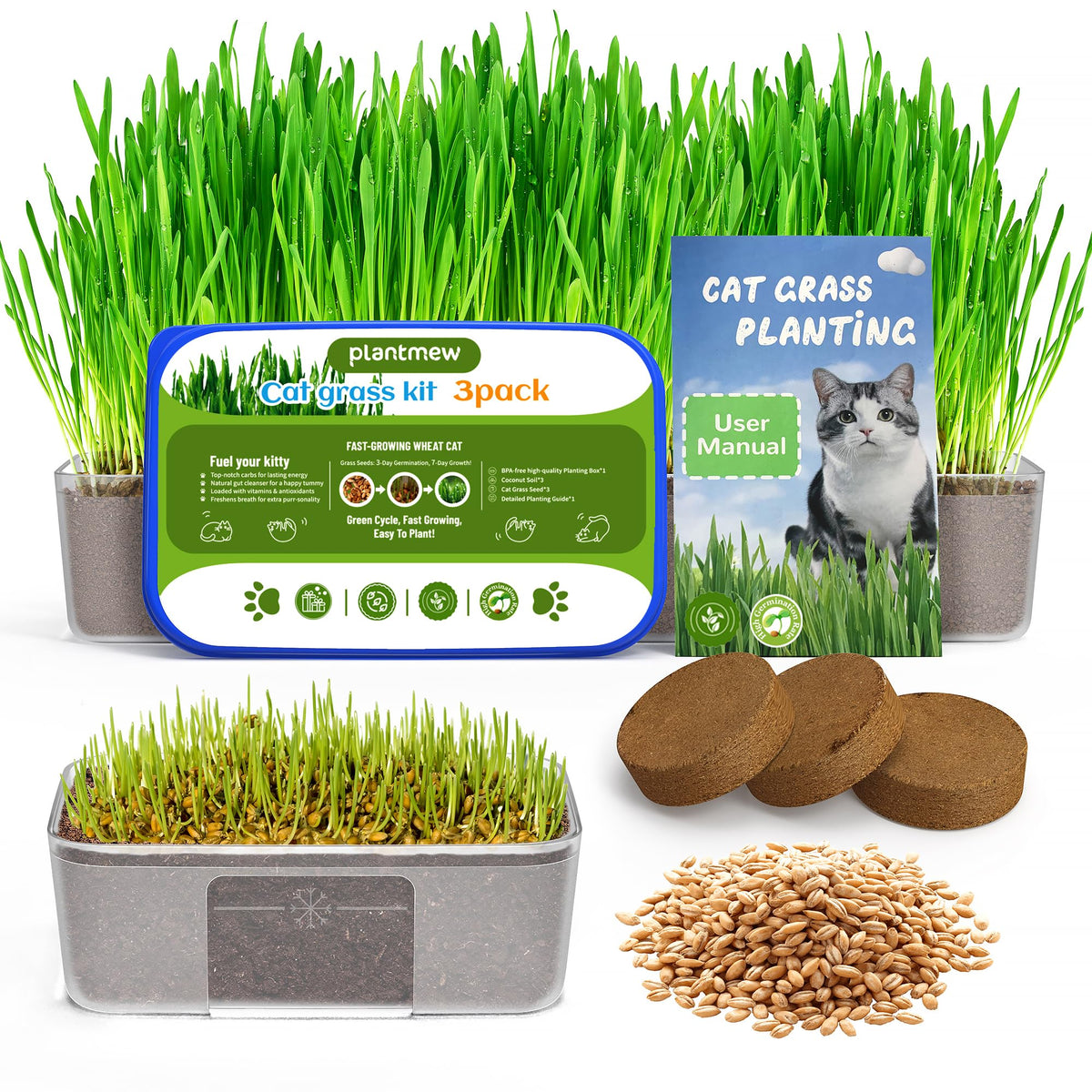 Cat Grass Growing Kit with Wheat Seeds, BPA-Free Planter & Soil, 3 Pack R61191