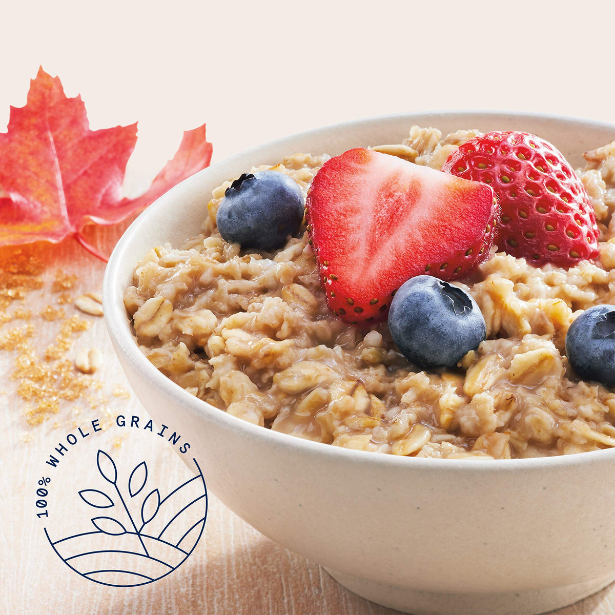 Instant Oatmeal 18 Count T821